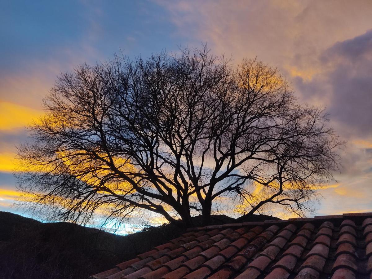 El Vilarot. La casa de piedra en la naturaleza. Villa Gerona Exterior foto